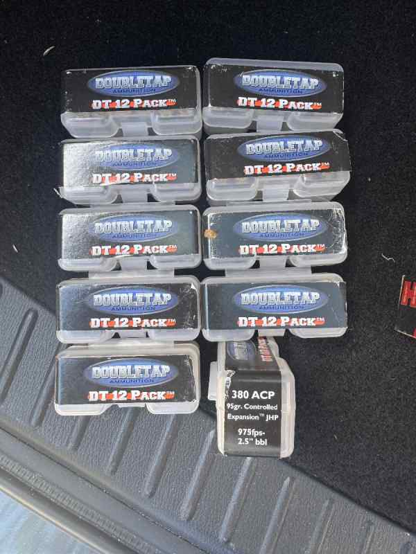 .380 Self Defense