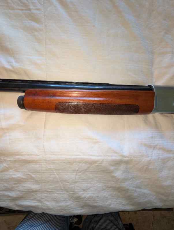 2158.jpg