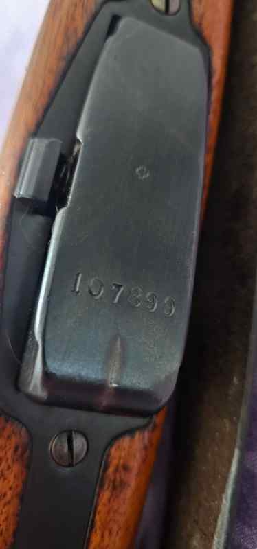 1000013546.jpg