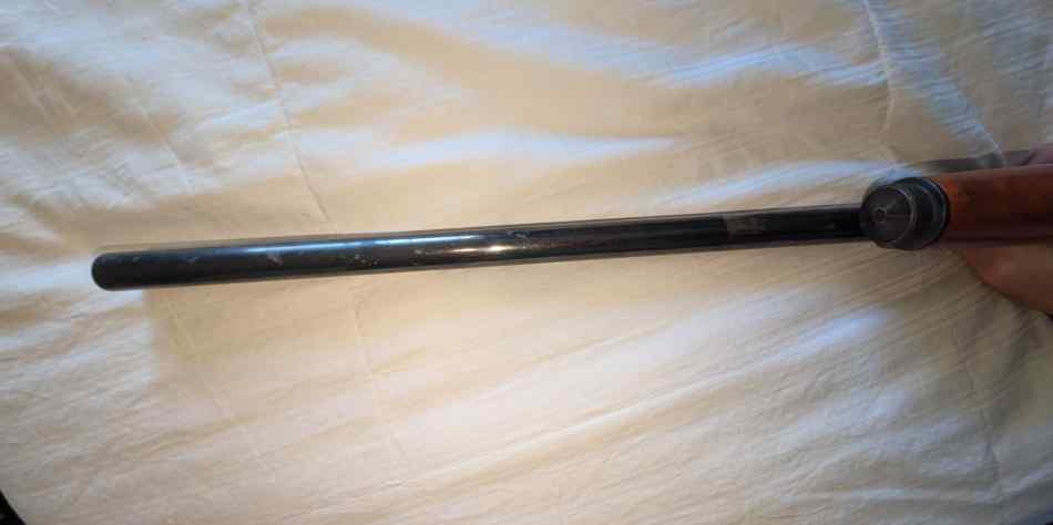 2169.jpg