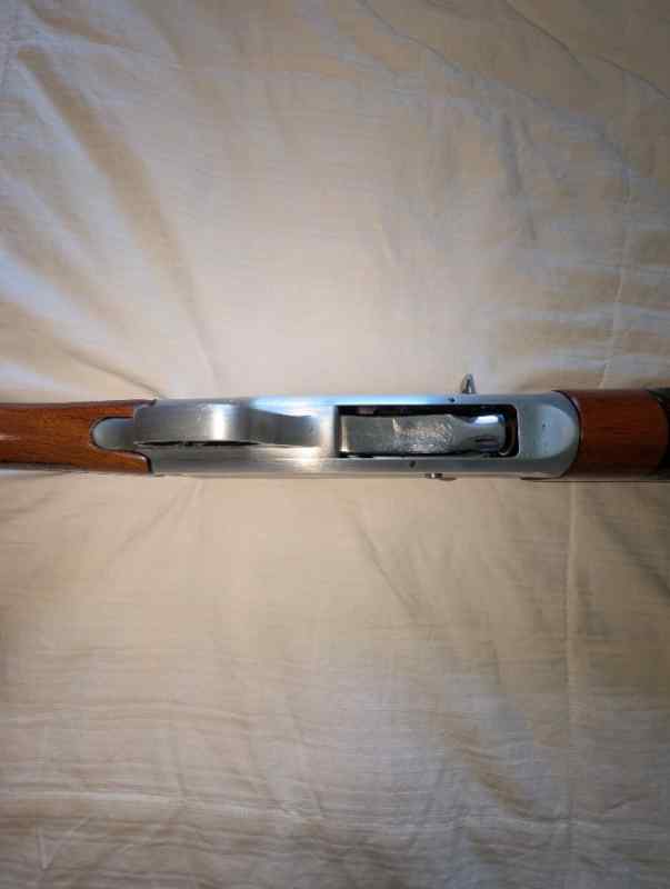 2154.jpg