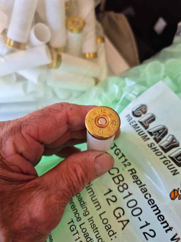 shells4.jpg