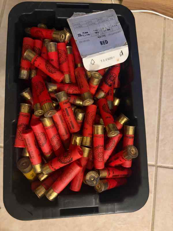 275rds 28 gauge hi brass birdshot