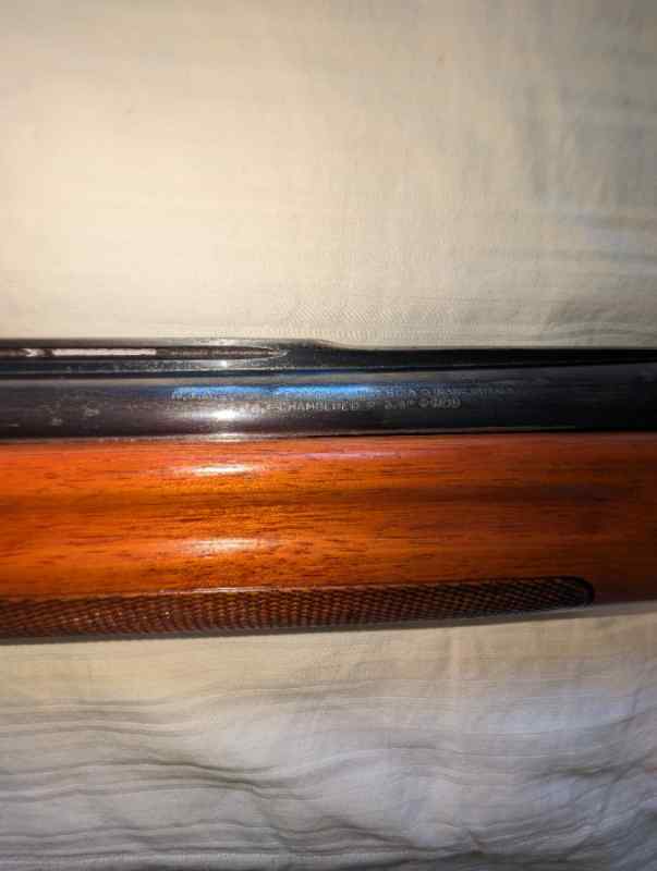 2159.jpg