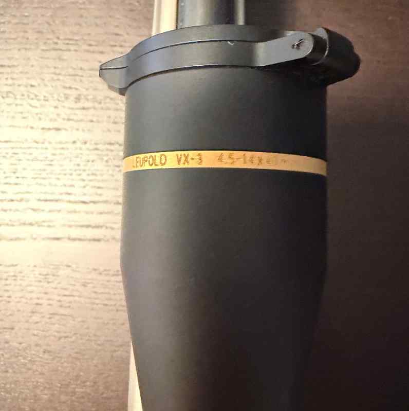 Bolt_4.jpg