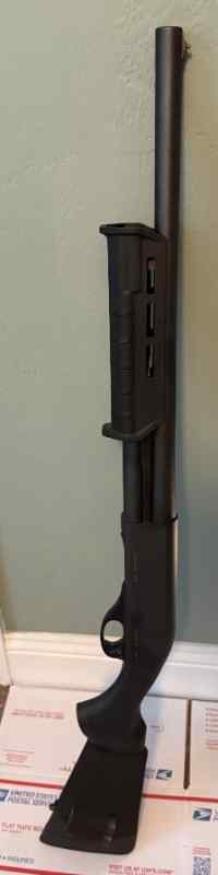IMG_0456.jpeg