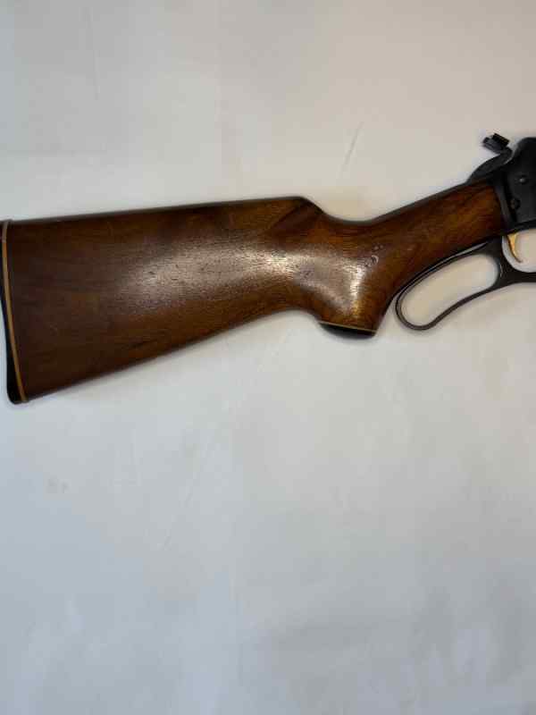 IMG_3502.jpeg